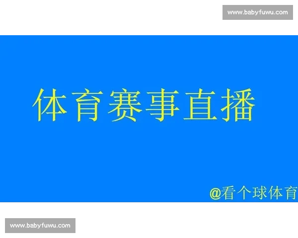 全面解析大型体育赛事组织流程与赛程安排全指南